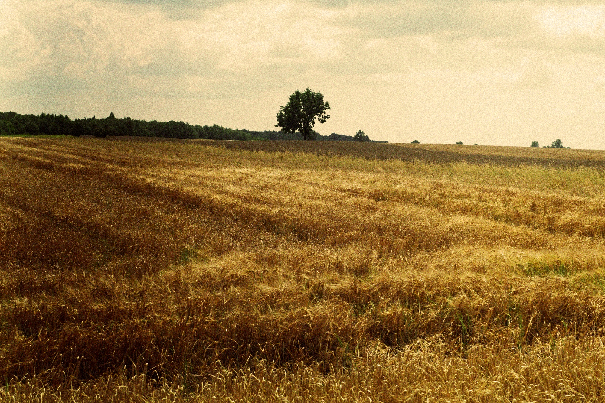 Documentary photo